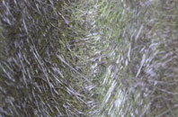 Cholderton fibreglass roof work